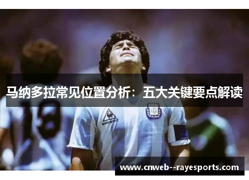 马纳多拉常见位置分析：五大关键要点解读