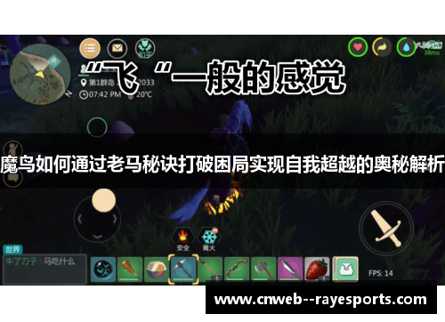 魔鸟如何通过老马秘诀打破困局实现自我超越的奥秘解析