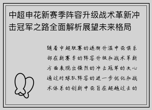 中超申花新赛季阵容升级战术革新冲击冠军之路全面解析展望未来格局